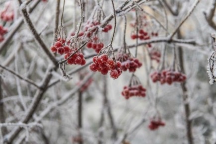 В Якутии на западе порывы ветра достигнут 22 метров в секунду 30 марта
