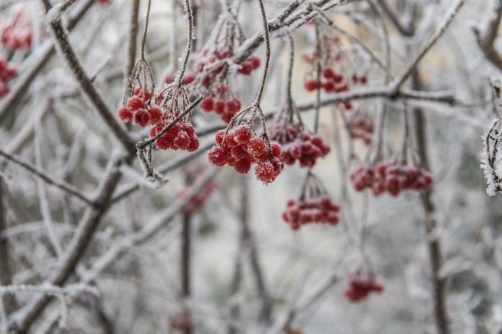 В Якутии на западе порывы ветра достигнут 22 метров в секунду 30 марта