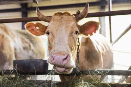 � ������� ��������� ������������� ������������� ��������� �����