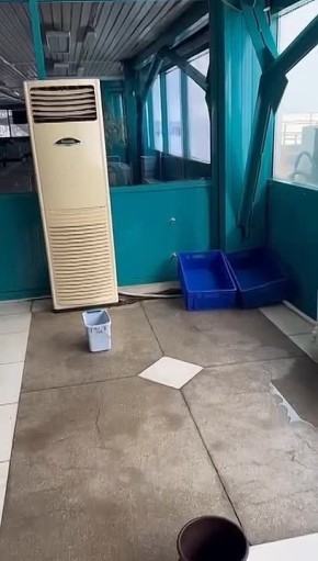 ���������� �������. ��������� �������