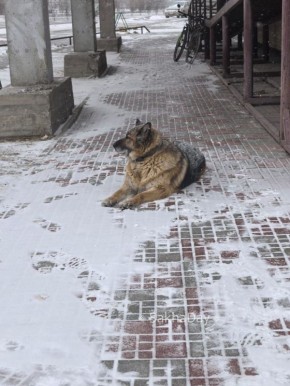 � �������������, fix price, ������� ��� � ���������