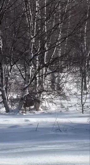 �������� ����������������� ����� � ������������� �������� � ������