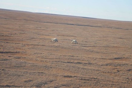 �� ��������� �������� � ������ ��������� � ����� ���������