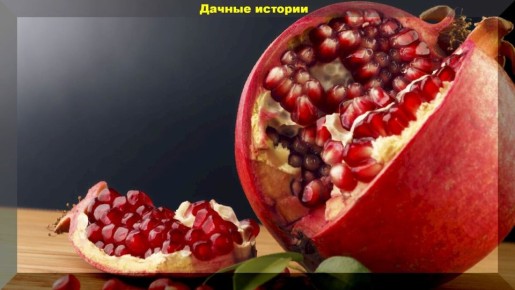 Корки граната: секрет борьбы с грибковыми заболеваниями в саду