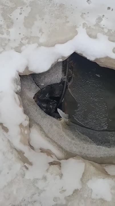 ����������� ��� ������������� ���������� ������ �� ������������ ��������������� �����: ������� ��������, ���������� ������� � ���������� ��������