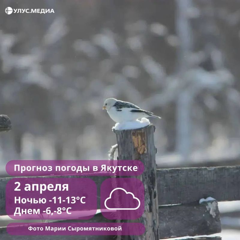 ���� � ������ ��������� � ������ 2 ������