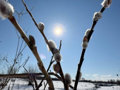 ��� � ��� � ����� ����!�. ������, ����� �� ���� ���� ������� ������ ����������� ���� ����� ����������� �������? � ������ ������ ����� ����� �������� ������ ����� ��� �������? 5 ������ ��������� ������� �����������