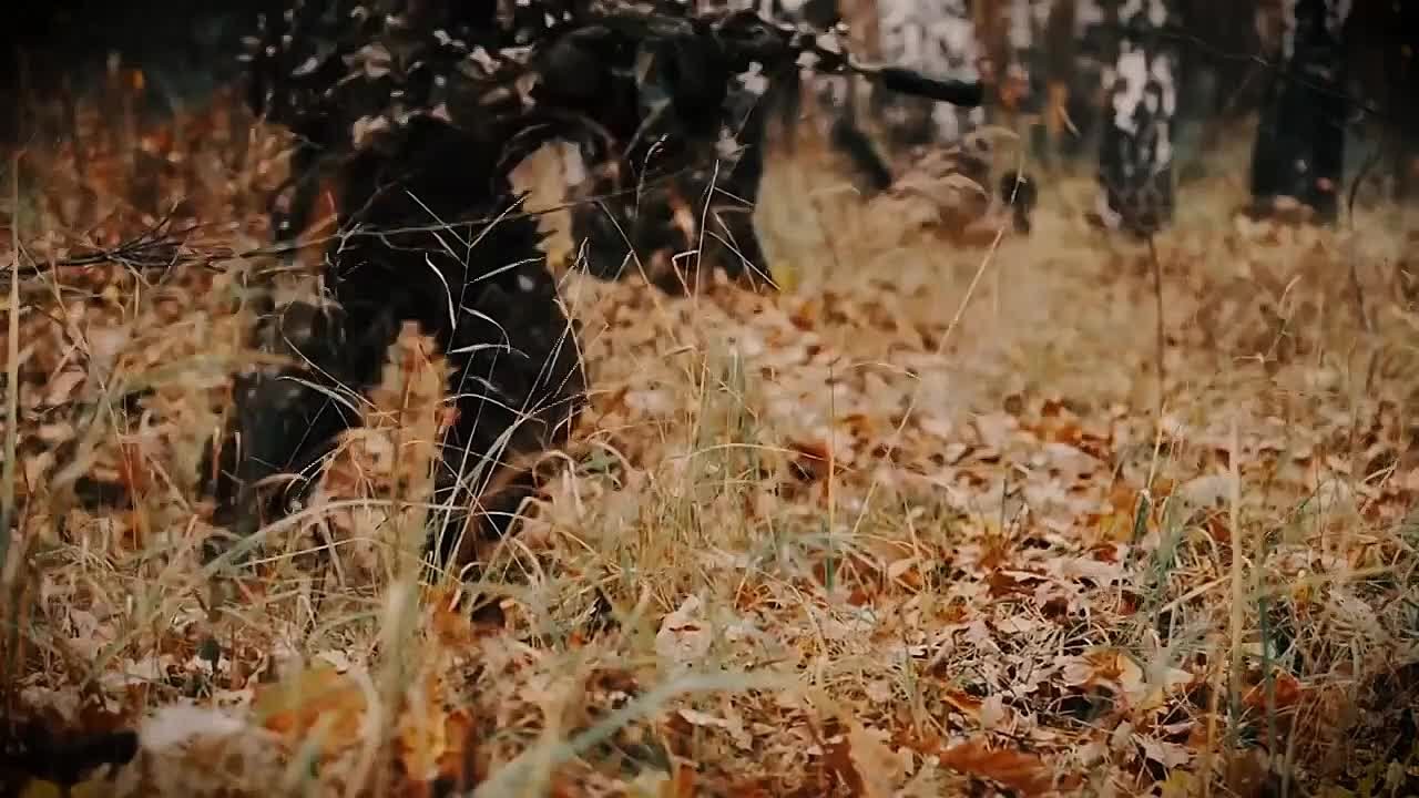 Найди свое призвание!. Знать, что нужна помощь, не остаться равнодушным и найти силы помочь – вот, что отличает сына, отца, мужа, защитника Родины