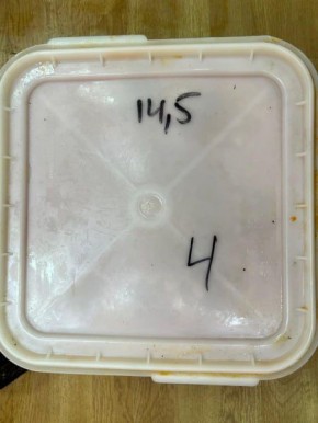 В Магадане осужден местный житель, пытавшийся заработать на перепродаже красной икры