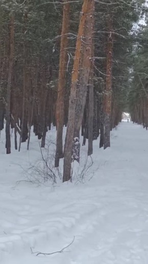 Ув.SD !Позвольте с утра немного побрюзжать, но может таким