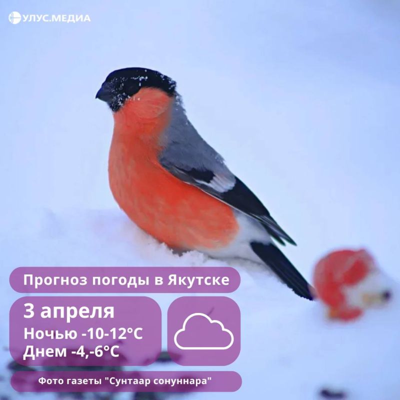 ����, ����� � �� +3�C: ������ � ������ �� 3 ������