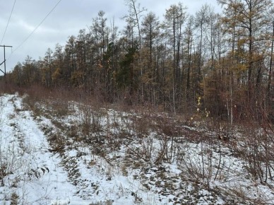 � ������ ����� ��������� �������� ������� �� ����� �����, ����������� ��������� ����������� �������, �������� ���������