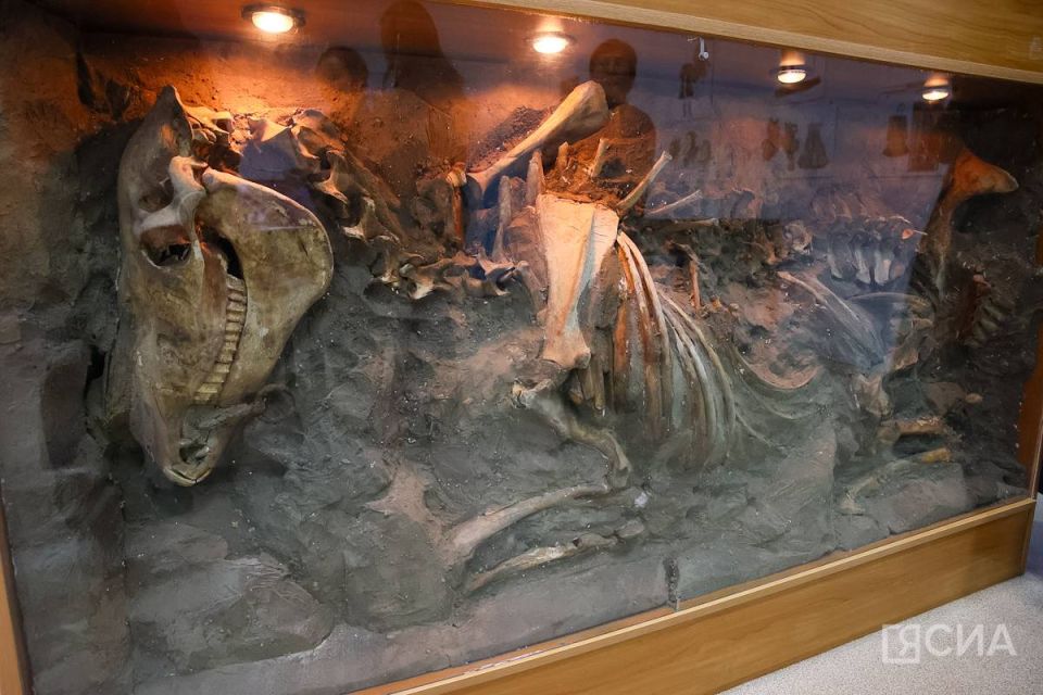 � ������� ��������� �������� ���������� ��������������� �������