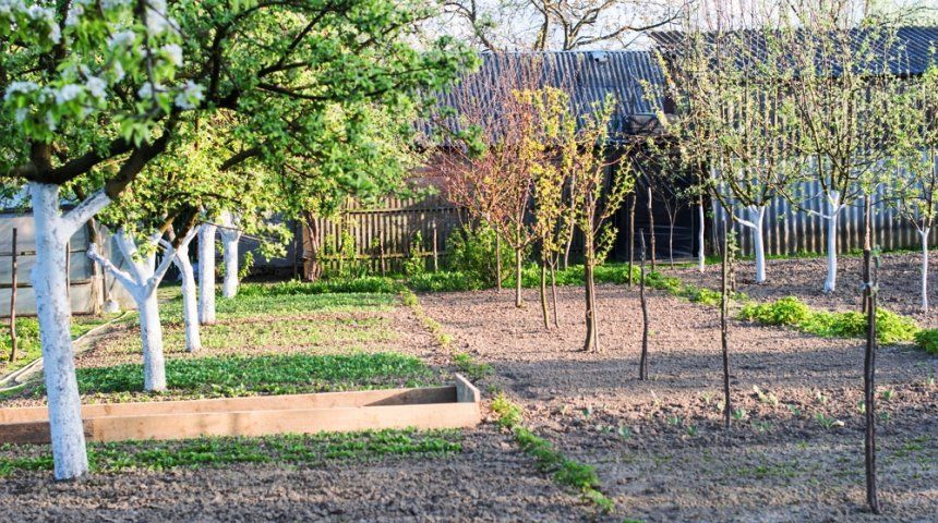 ��� ����� ������ ������� ���� � �����������: 9 ������� ��� �������� �������