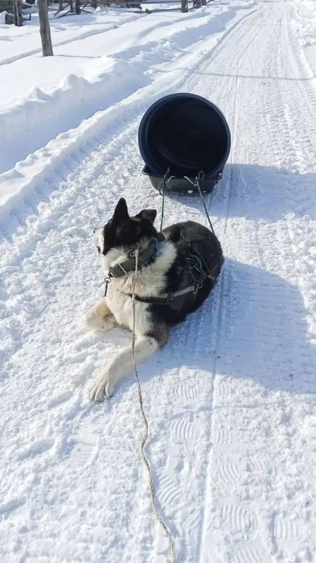 #���������������: ������ �������� � ���������