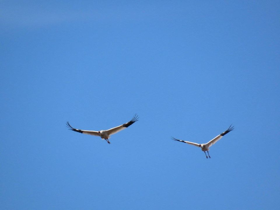 ������ ������: ���������� ������ � ����� �������� ����� �������������� �� ���