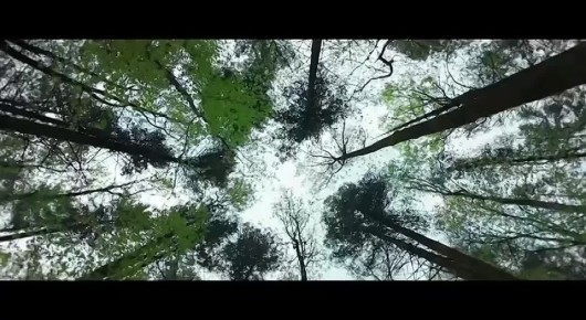 ������� ����������� ���������� ��������� ��������� �������� ���������� � ������ ���������� ������� � ��������������