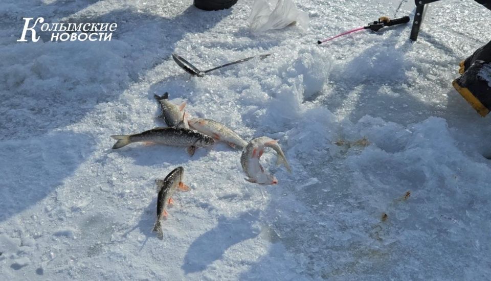 ������, �����!. ����� ������ �� ���� ������� �������� �������� ������������ �� ��������� ������� "��������� ����� 2026"