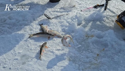 ������, �����!. ����� ������ �� ���� ������� �������� �������� ������������ �� ��������� ������� "��������� ����� 2026"