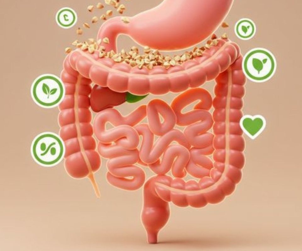 ��� ���������� � ������� ���������� � �� ���������� ���� ��������