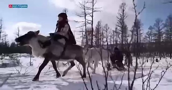 «Парламентский вестник»: Обзор ключевых событий недели