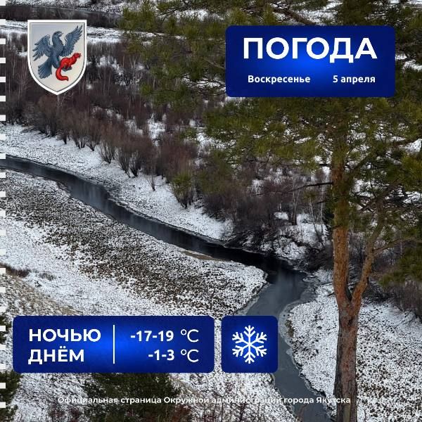 ������� ������ � ������� �� 5 ������