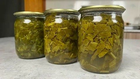 ���������� �������� ��������� ���: ��������� ������ �����