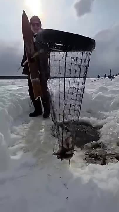 ������ ������: ������� ������ � �������� ���� �����-����� ������������� ����� ���������� ��������� ����� �������� ��������� ������� - ������