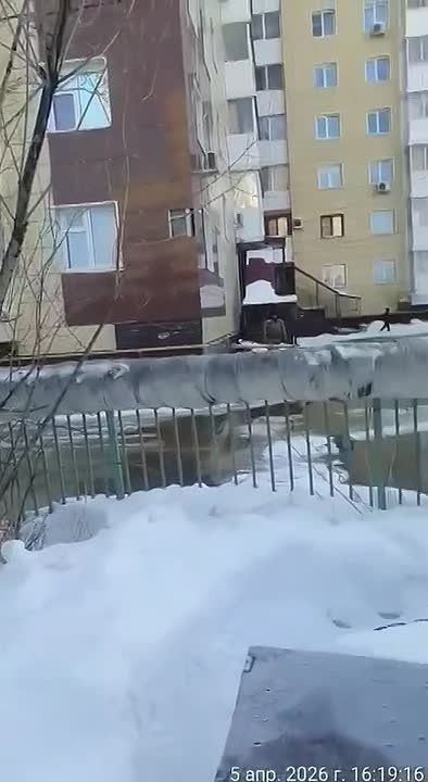 ������������� ��� ������������� ��������� ������ �� ������� � ���������� ����������� ������ ��������������� ������� �� ������: ��. �����������, 24/2