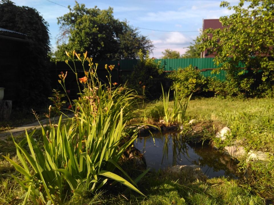 ��������� ������ �����: ��� ������ ����� ��������� �����