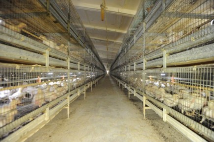 ��������� � ��������� �������� ������ �������� �� ������������