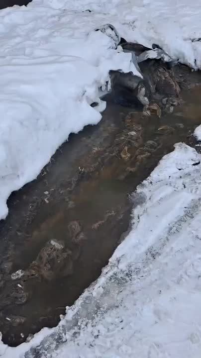 #����� ������ ���� ������������ ������ ����������� �� ����� ���� ����������� 24�2