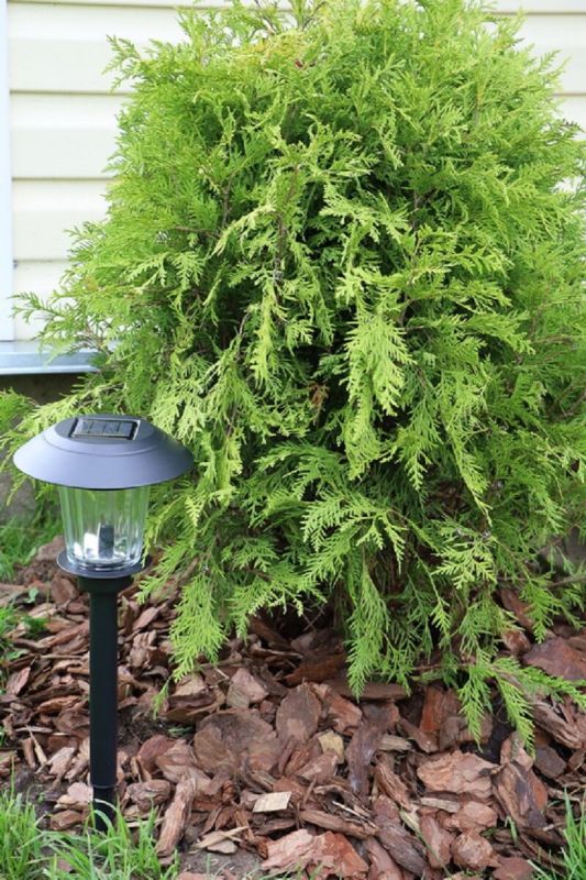 ��� ����������� ��� � ����: ������ ������ ��� ���������� ���������