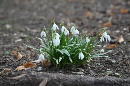 � ������ ��������� ���� � ������ � ���������� ����� 7 ������