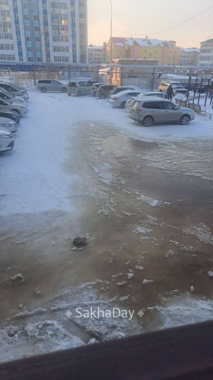 #пишут Состояние двора Рыдзинского 24к2 #пишут Состояние двора Рыдзинского 24к2