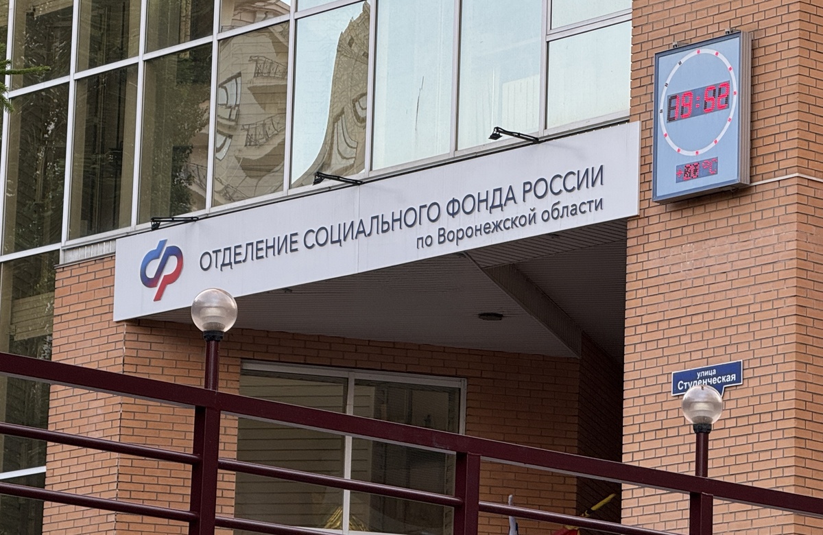 Новый этап в социальной поддержке: ждёт ли россиян упрощение получения льгот?