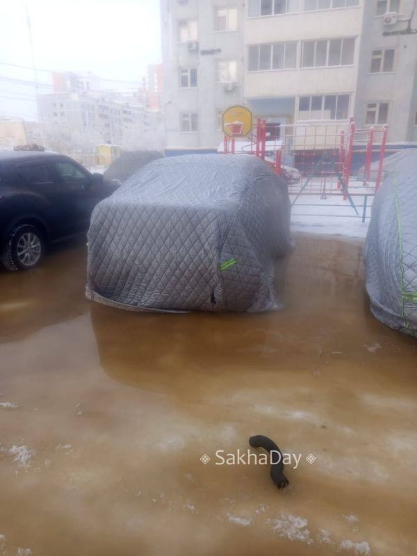 #�����. ��������� ������ ����� � �������������