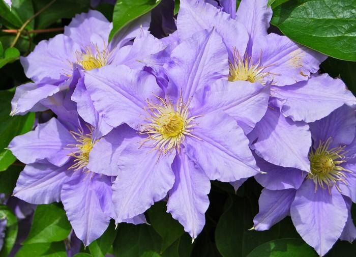 ��������: ������� ����� �� ���� ������������ ���������