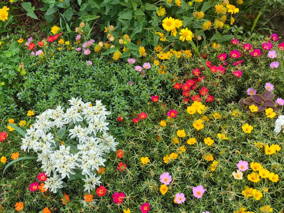 ������� ��������� �������: ������� �������� ���������