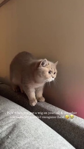 ����������� ���� ����� ���������� ��������� �� ���������