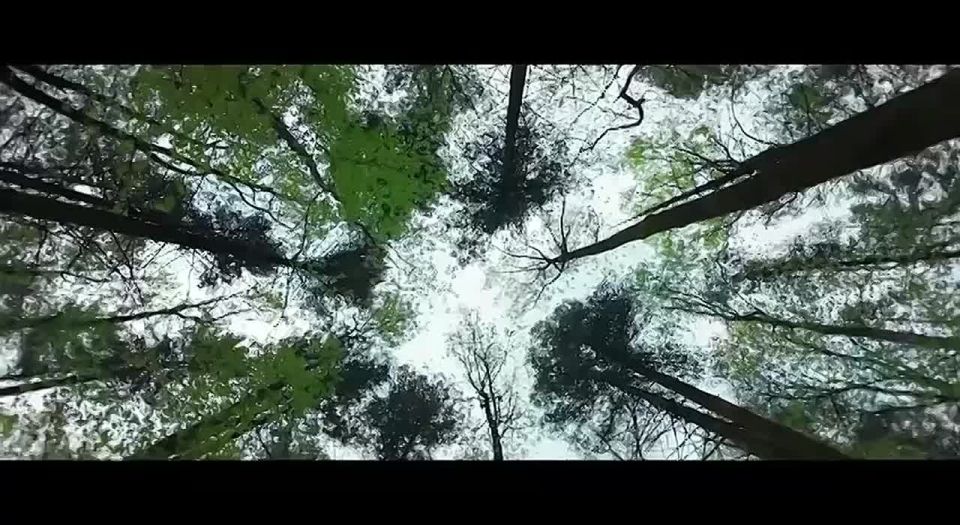 ������� ����������� ���������� ��������� ��������� �������� ���������� � ������ ���������� ������� � ��������������