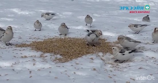 � ������������ ������ ���� �� �������� ����� ����� ��������� ������ ���������� ���� - �������