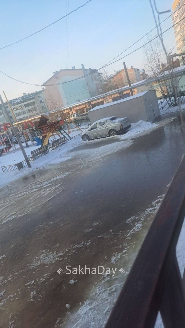 #пишут Состояние двора Рыдзинского 24к2 #пишут Состояние двора Рыдзинского 24к2