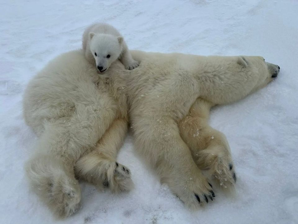 � ���������� ��������� �� ������� ����� ��������� ��������� � ����� ������