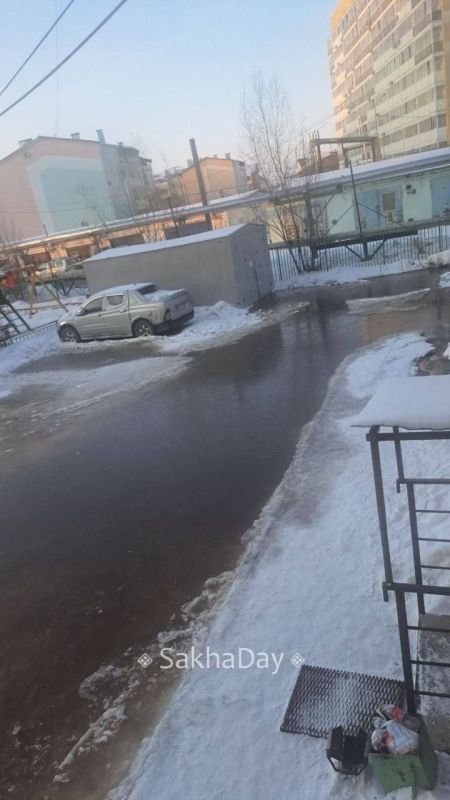 #����� ��������� ����� ����������� 24�2