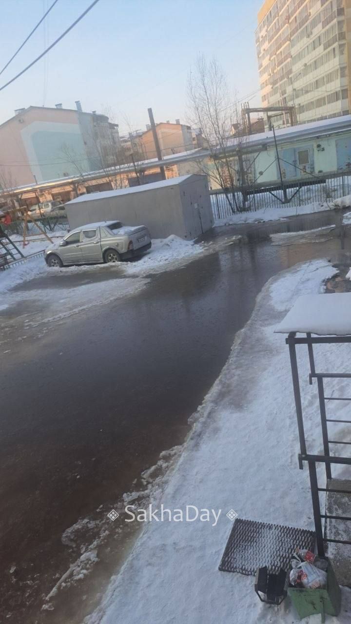 #пишут Состояние двора Рыдзинского 24к2