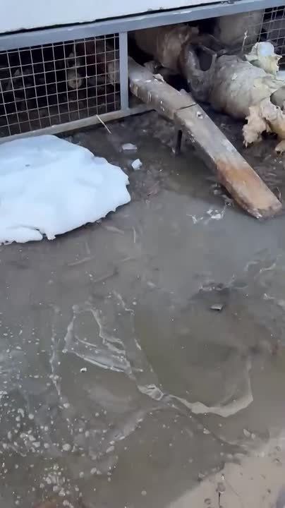 ����������� ��� ������������� ���������� ������ �� ������������ ��������������� �����: ������� ��������, ���������� ������� � ���������� ��������