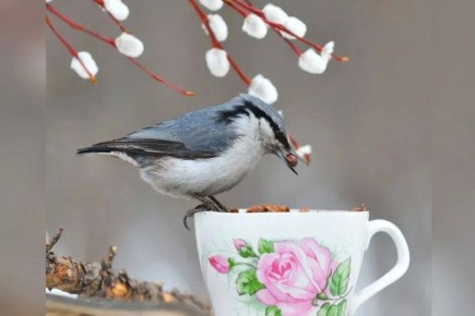 Благовещение: история, традиции и значение праздника