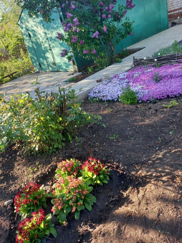 �� ����� ���������� ��������� �������� ��������: ������ �� ������ ��������