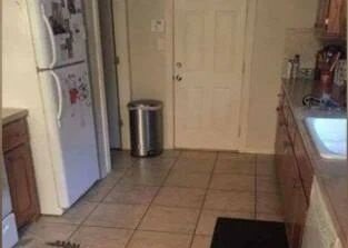 Найти собаку на кухне: только один из десяти справится